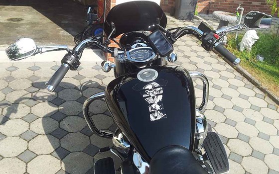 Umgebautes Motorrad Yamaha XVS 1300 A von ManEater - Bild 6 Umgebautes Motorrad Yamaha XVS 1300 A von ManEater - Bild 6