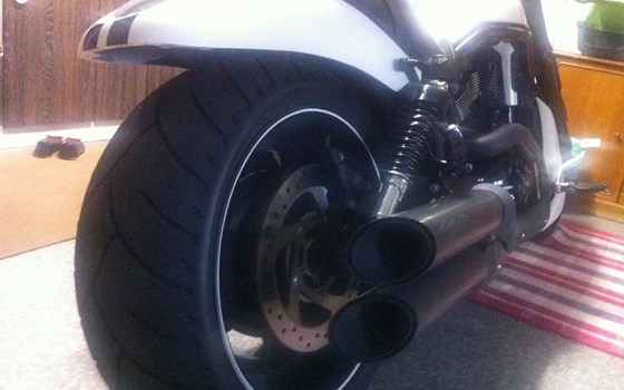 Umgebautes Motorrad Harley-Davidson Night Rod Special VRSCDX von repsol178 - Bild 2 Umgebautes Motorrad Harley-Davidson Night Rod Special VRSCDX von repsol178 - Bild 2