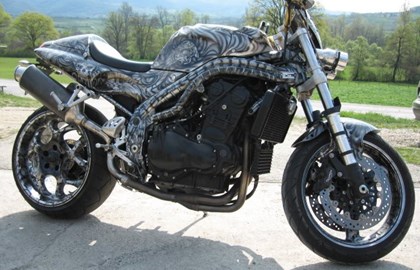 Triumph Speed Triple 955i Custom Bike