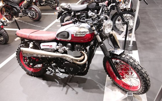 Umgebautes Motorrad Triumph Scrambler von Q-Bike Technik GmbH - Bild 4 Umgebautes Motorrad Triumph Scrambler von Q-Bike Technik GmbH - Bild 4