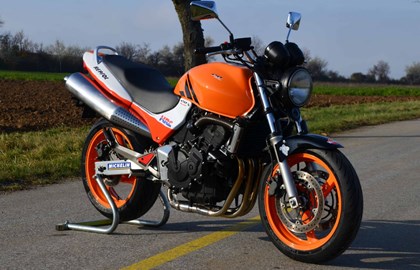 Honda CB 600 F Hornet Custom Bike Honda CB 600 F Hornet Custom Bike