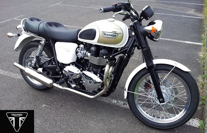 Triumph Bonneville T100 Custom Bike