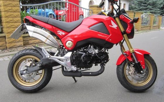 Umgebautes Motorrad Honda MSX 125 von Zweiradtechnik Jörg Schlieter - Bild 1 Umgebautes Motorrad Honda MSX 125 von Zweiradtechnik Jörg Schlieter - Bild 1