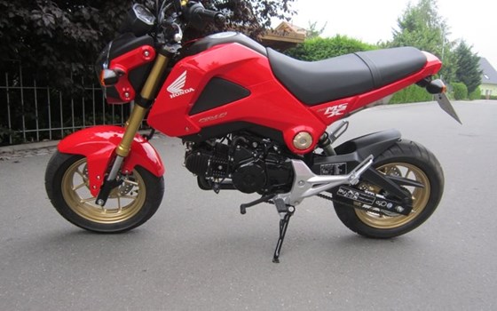 Umgebautes Motorrad Honda MSX 125 von Zweiradtechnik Jörg Schlieter - Bild 2 Umgebautes Motorrad Honda MSX 125 von Zweiradtechnik Jörg Schlieter - Bild 2