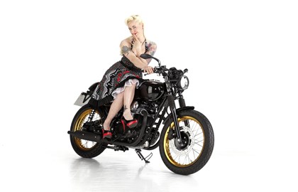 Kawasaki W800 Custom Bike Kawasaki W800 Custom Bike