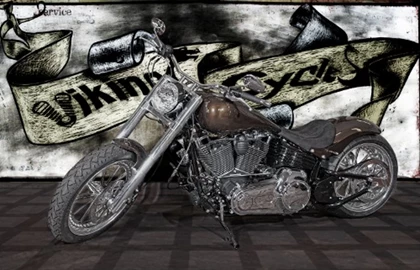 Harley-Davidson Custom Bike Custom Bike Harley-Davidson Custom Bike Custom Bike