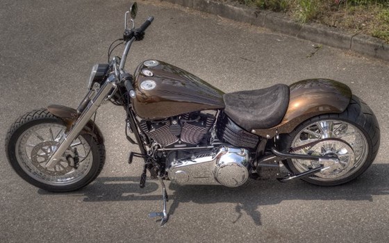Umgebautes Motorrad Harley-Davidson Custom Bike von Viking Cycles GmbH Lübeck - Bild 2 Umgebautes Motorrad Harley-Davidson Custom Bike von Viking Cycles GmbH Lübeck - Bild 2