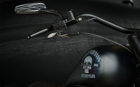 Umgebautes Motorrad Harley-Davidson Custom Bike von Viking Cycles GmbH Lübeck - Bild 8 Umgebautes Motorrad Harley-Davidson Custom Bike von Viking Cycles GmbH Lübeck - Bild 8