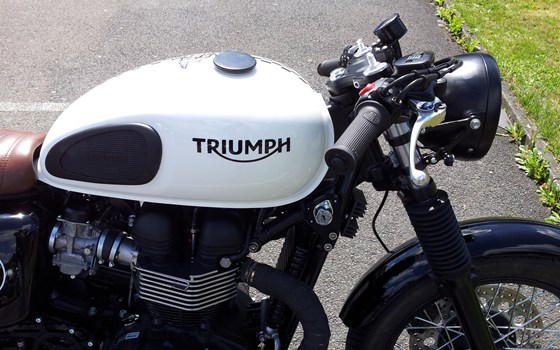 Umgebautes Motorrad Triumph Thruxton Ace von Motorradhaus Löhmer GmbH - Bild 5 Umgebautes Motorrad Triumph Thruxton Ace von Motorradhaus Löhmer GmbH - Bild 5