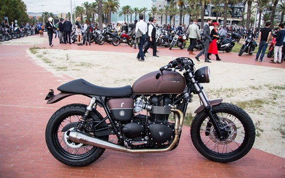 Umgebautes Motorrad Triumph Bonneville T100 von MAQUINA MOTORS - Bild 9 Umgebautes Motorrad Triumph Bonneville T100 von MAQUINA MOTORS - Bild 9