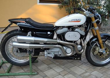 Gebrauchtmotorrad Harley-Davidson Sportster XL 883