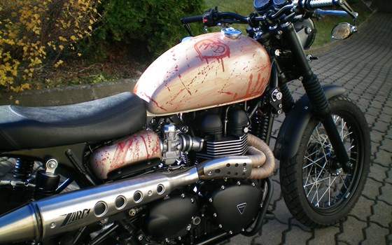 Umgebautes Motorrad Triumph Scrambler von TRIUMPH Chemnitz Böttger und Budach OHG - Bild 2 Umgebautes Motorrad Triumph Scrambler von TRIUMPH Chemnitz Böttger und Budach OHG - Bild 2