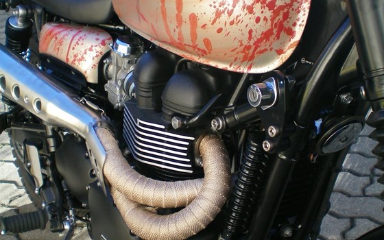 Umgebautes Motorrad Triumph Scrambler von TRIUMPH Chemnitz Böttger und Budach OHG - Bild 5 Umgebautes Motorrad Triumph Scrambler von TRIUMPH Chemnitz Böttger und Budach OHG - Bild 5