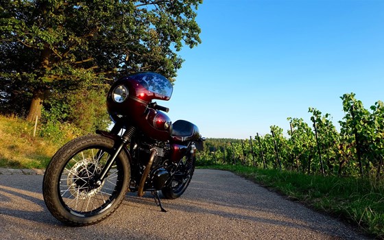 Umgebautes Motorrad Kawasaki W800 von Zweiradcenter Umbach GmbH - Bild 7 Umgebautes Motorrad Kawasaki W800 von Zweiradcenter Umbach GmbH - Bild 7