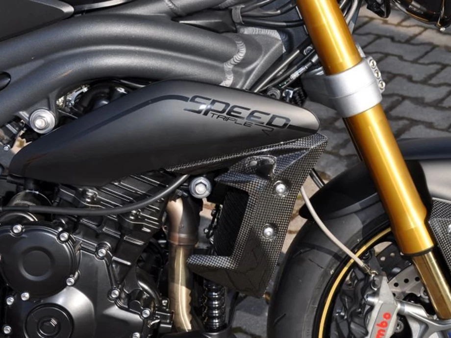 Umbgebautes Motorrad Triumph Speed Triple R Bild 8: Umbgebautes Motorrad Triumph Speed Triple R