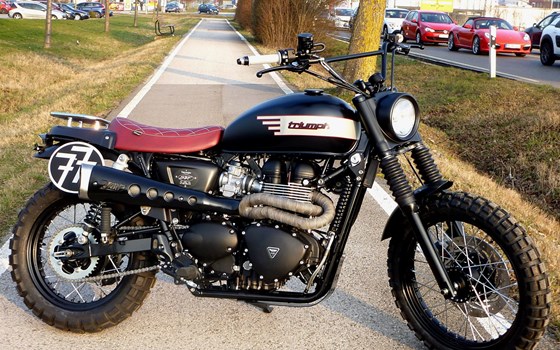 Umgebautes Motorrad Triumph Scrambler von SBF TRIUMPH Bikes & Parts GmbH & Co.KG - Bild 1 Umgebautes Motorrad Triumph Scrambler von SBF TRIUMPH Bikes & Parts GmbH & Co.KG - Bild 1