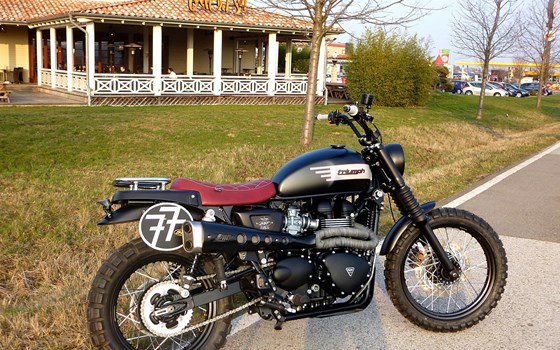 Umgebautes Motorrad Triumph Scrambler von SBF TRIUMPH Bikes & Parts GmbH & Co.KG - Bild 4 Umgebautes Motorrad Triumph Scrambler von SBF TRIUMPH Bikes & Parts GmbH & Co.KG - Bild 4