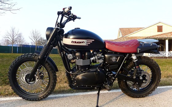 Umgebautes Motorrad Triumph Scrambler von SBF TRIUMPH Bikes & Parts GmbH & Co.KG - Bild 7 Umgebautes Motorrad Triumph Scrambler von SBF TRIUMPH Bikes & Parts GmbH & Co.KG - Bild 7