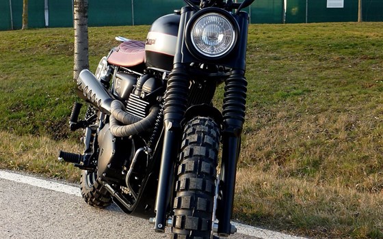 Umgebautes Motorrad Triumph Scrambler von SBF TRIUMPH Bikes & Parts GmbH & Co.KG - Bild 9 Umgebautes Motorrad Triumph Scrambler von SBF TRIUMPH Bikes & Parts GmbH & Co.KG - Bild 9