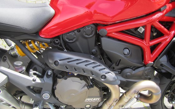 Umgebautes Motorrad Ducati Monster 821 von Witten u. Weber oHG - Bild 9