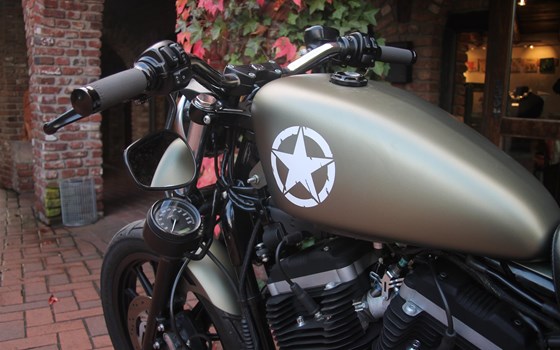 Umgebautes Motorrad Harley-Davidson Sportster XL 883 N Iron von X-Trem Custombikes - Bild 10 Umgebautes Motorrad Harley-Davidson Sportster XL 883 N Iron von X-Trem Custombikes - Bild 10