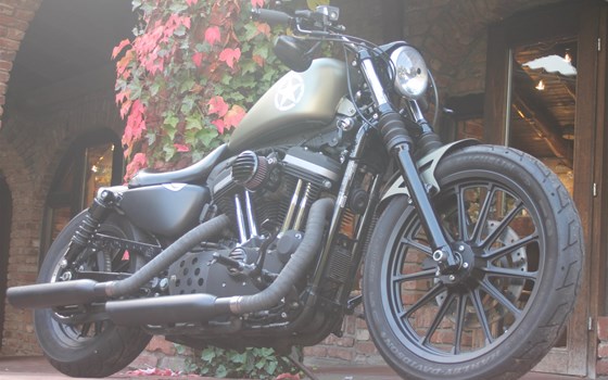 Umgebautes Motorrad Harley-Davidson Sportster XL 883 N Iron von X-Trem Custombikes - Bild 21 Umgebautes Motorrad Harley-Davidson Sportster XL 883 N Iron von X-Trem Custombikes - Bild 21