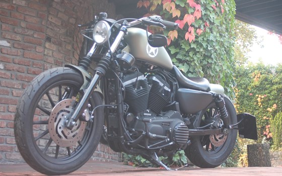 Umgebautes Motorrad Harley-Davidson Sportster XL 883 N Iron von X-Trem Custombikes - Bild 3 Umgebautes Motorrad Harley-Davidson Sportster XL 883 N Iron von X-Trem Custombikes - Bild 3