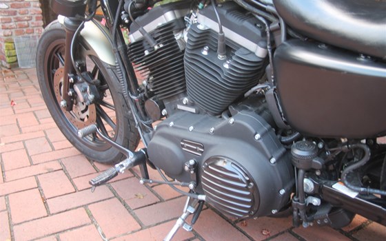 Umgebautes Motorrad Harley-Davidson Sportster XL 883 N Iron von X-Trem Custombikes - Bild 9 Umgebautes Motorrad Harley-Davidson Sportster XL 883 N Iron von X-Trem Custombikes - Bild 9