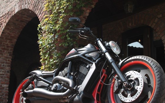 Umgebautes Motorrad Harley-Davidson Night Rod Special VRSCDX von X-Trem Custombikes - Bild 15 Umgebautes Motorrad Harley-Davidson Night Rod Special VRSCDX von X-Trem Custombikes - Bild 15