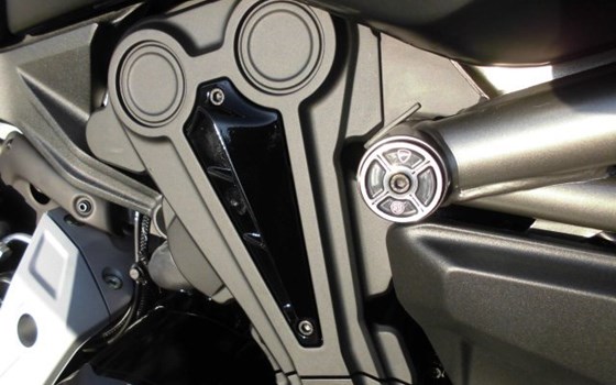 Umgebautes Motorrad Ducati XDiavel von Team Wahlers GmbH - Bild 6 Umgebautes Motorrad Ducati XDiavel von Team Wahlers GmbH - Bild 6
