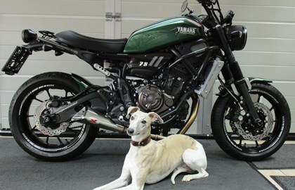 Yamaha XSR700 Custom Bike