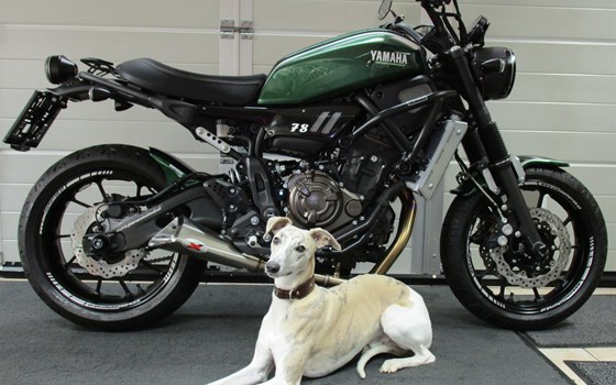 Umgebautes Motorrad Yamaha XSR700 von GSN Motorraeder - Bild 1 Umgebautes Motorrad Yamaha XSR700 von GSN Motorraeder - Bild 1
