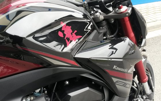 Umgebautes Motorrad Kawasaki Z 800 von Die Motorradwerkstatt O. Weikum - Bild 6 Umgebautes Motorrad Kawasaki Z 800 von Die Motorradwerkstatt O. Weikum - Bild 6