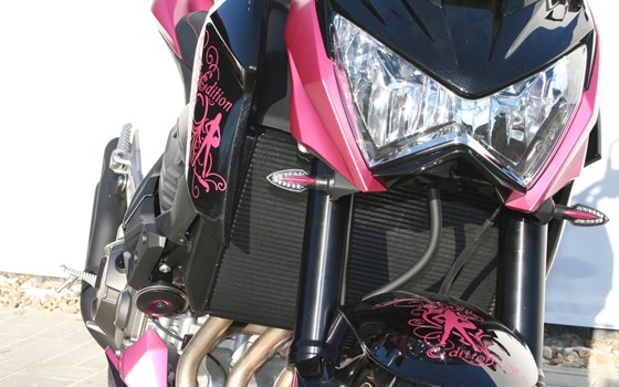 Umgebautes Motorrad Kawasaki Z 800 e von BikerWorld Rosenow - Bild 19 Umgebautes Motorrad Kawasaki Z 800 e von BikerWorld Rosenow - Bild 19