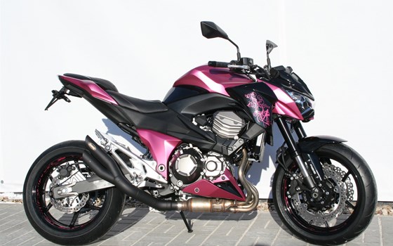 Umgebautes Motorrad Kawasaki Z 800 e von BikerWorld Rosenow - Bild 8 Umgebautes Motorrad Kawasaki Z 800 e von BikerWorld Rosenow - Bild 8
