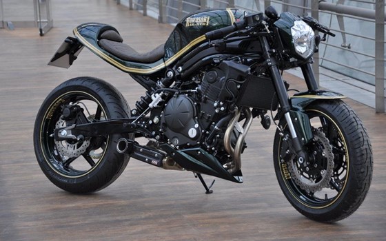 Umgebautes Motorrad Kawasaki ER-6n von BKM Bikes Handels GmbH - Bild 1 Umgebautes Motorrad Kawasaki ER-6n von BKM Bikes Handels GmbH - Bild 1