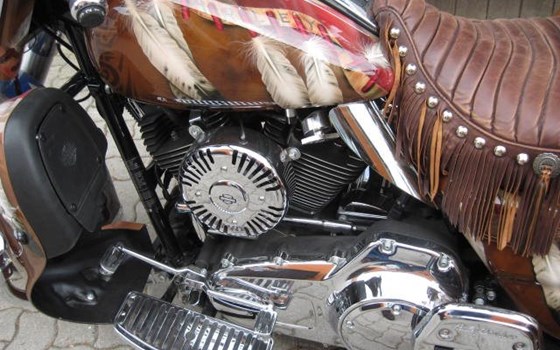 Umgebautes Motorrad Harley-Davidson Trike von Spocks Motorcycles GmbH - Bild 6 Umgebautes Motorrad Harley-Davidson Trike von Spocks Motorcycles GmbH - Bild 6