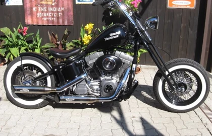 Harley-Davidson Custom Bike Custom Bike Harley-Davidson Custom Bike Custom Bike