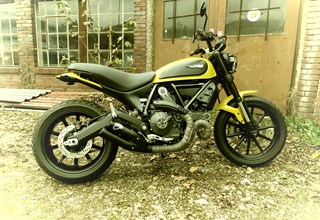 Ducati Scrambler Icon