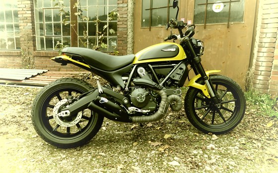 Umgebautes Motorrad Ducati Scrambler Icon von Witten u. Weber oHG - Bild 1 Umgebautes Motorrad Ducati Scrambler Icon von Witten u. Weber oHG - Bild 1