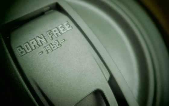 Umgebautes Motorrad Ducati Scrambler Icon von Witten u. Weber oHG - Bild 9 Umgebautes Motorrad Ducati Scrambler Icon von Witten u. Weber oHG - Bild 9