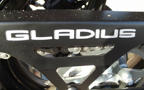 Umgebautes Motorrad Suzuki SFV 650 Gladius von Motorrad Ehringer - Bild 2 Umgebautes Motorrad Suzuki SFV 650 Gladius von Motorrad Ehringer - Bild 2