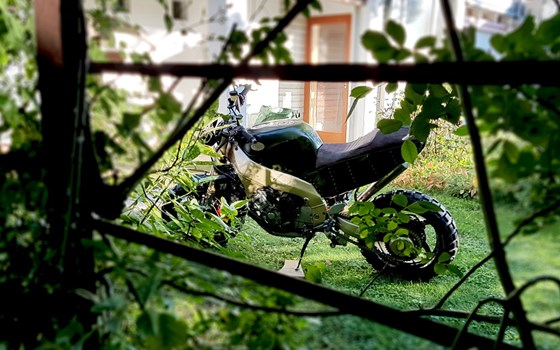 Umgebautes Motorrad Yamaha YZF 750 R von gebrauchtmotorradinserat_tps_473346 - Bild 7 Umgebautes Motorrad Yamaha YZF 750 R von gebrauchtmotorradinserat_tps_473346 - Bild 7