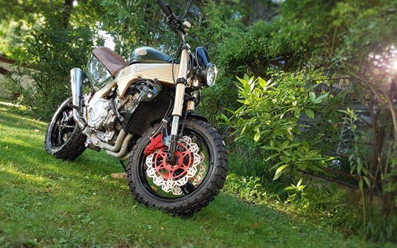 Umgebautes Motorrad Yamaha YZF 750 R von gebrauchtmotorradinserat_tps_473346 - Bild 8 Umgebautes Motorrad Yamaha YZF 750 R von gebrauchtmotorradinserat_tps_473346 - Bild 8