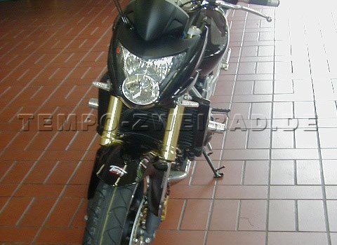 Umgebautes Motorrad Honda CB 600 F Hornet von Tempo-Zweirad-Treff GmbH - Bild 3 Umgebautes Motorrad Honda CB 600 F Hornet von Tempo-Zweirad-Treff GmbH - Bild 3