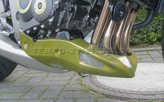 Umgebautes Motorrad Honda CB 1000 R von Tempo-Zweirad-Treff GmbH - Bild 4