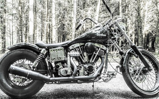 Umgebautes Motorrad Harley-Davidson Custom Bike von user1129711 - Bild 4 Umgebautes Motorrad Harley-Davidson Custom Bike von user1129711 - Bild 4