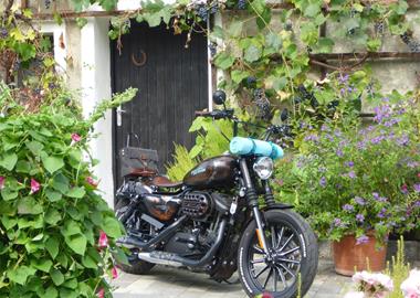 Gebrauchte Harley-Davidson Sportster XL 883 N Iron Gebrauchte Harley-Davidson Sportster XL 883 N Iron