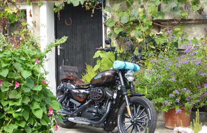 Harley-Davidson Sportster XL 883 N Iron Custom Bike Harley-Davidson Sportster XL 883 N Iron Custom Bike