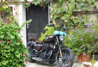 Harley-Davidson Sportster XL 883 N Iron Harley-Davidson Sportster XL 883 N Iron